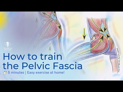 Easy Pelvic Fascia Exercise to Release Tension and Tightness 🤸🏻‍♂️