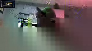 9.9K views · 711 reactions | Silent killer freestyle session Rate /10 Talent show zw | Simplesolid Records Zimbabwe | Facebook