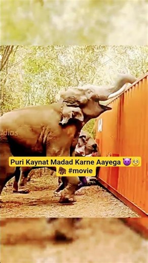 Puri Kaynat Madad Karne Aayega 😈🥺🦣 #movie​ #sitaram​ #srinivas​🚩