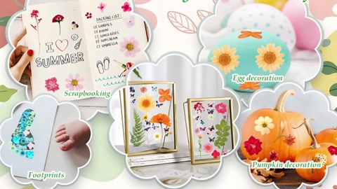 500 PCS Dried Flowers Butterfly Stickers for Crafts Real Natural Pressed Flowers Dry Leaves Kit for DIY Making Crafts Resin Soap Candle Scrapbook Supplies Card Making Jewelry