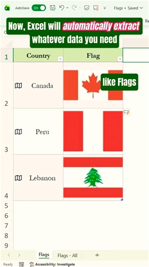 Import any geography data to Excel in seconds! ✨#excel #excelshortcuts #spreadsheetmagic #exceltips