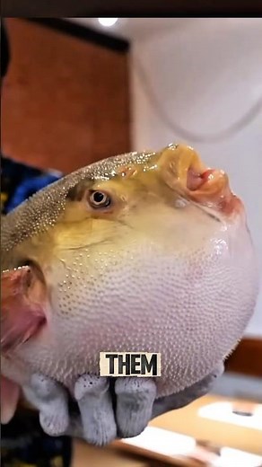 Fugu: Japan’s Deadly Delicacy