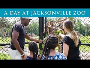 Jacksonville Zoo Private Tour - Our Visit to the Jacksonville Zoo and Gardens - Top Flight Family