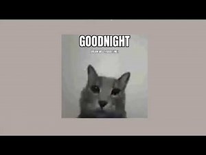 tic tac capsule 1hour loop