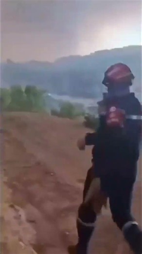 Skikda fires today