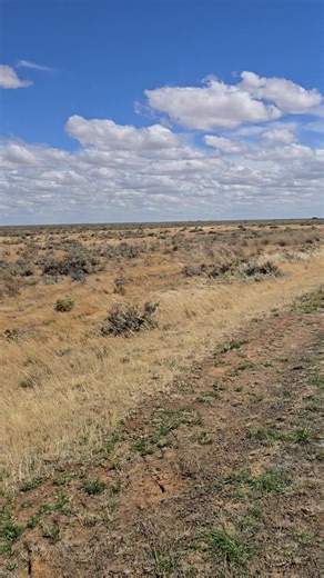 9.7K views · 61 reactions | The latest car carrier is finished and is on its way to the owner | Gold Trailers | Facebook