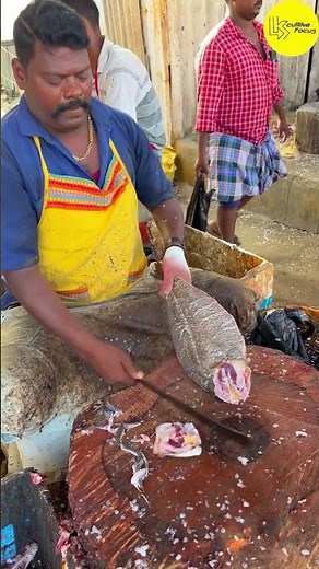 KASIMEDU SPEED SELVAM SOLE FISH 🐟 CUTTING VIDEO #kasimeduselvam #bigfish #shorts #youtube
