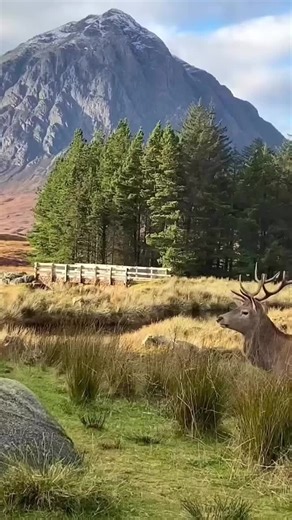 Edinburgh Black Cab Tours on TikTok