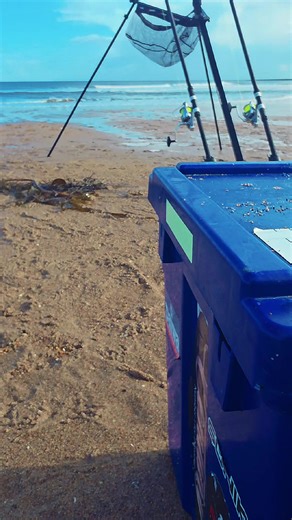 Beaches Change.. The Feeling Never does.. #beachfishinguk #ukseafishing #northumberland #northeastfishing #Arnohooks