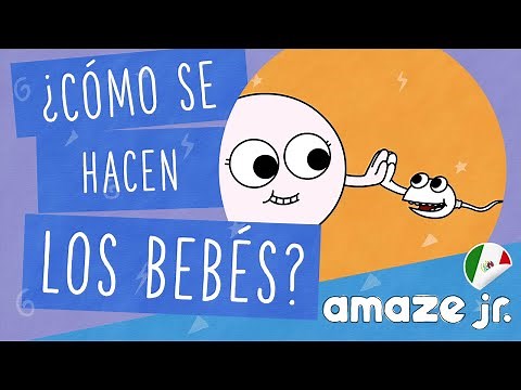 ¿Cómo se hacen los bebés? (México) AmazeJr