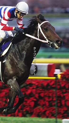 名馬タップダンスシチーの軌跡と競馬の魅力