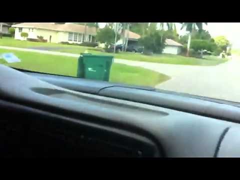 Hitting trash cans with car.