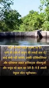 1.3M views · 10K reactions | "Village science at its best – Jamun wood in a water tank keeps it pure and algae-free. Nature’s own water purifier! " #FactsHunter #VillageScience #NaturalPurifier #JamunWood #TraditionalWisdom #EcoFriendly #SustainableLiving | All Exam | Facebook