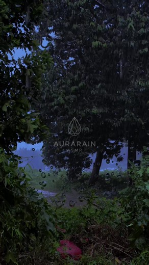 HEAVY RAIN AND STORM - ASMR FOR RELAXATION STUDY AND DEEP SLEEP #asmr #asmrsounds #rain #fyp #heavyrain