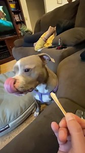 Les presento a mi nieta 💚💚💚 | Anna Maria Smith