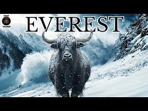 The Incredible Animals That Live In The Himalayas