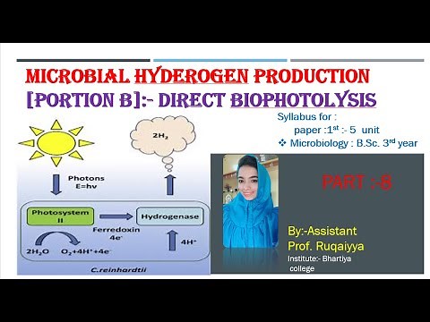 what is biophotolysis ? and types of biophotolysis?