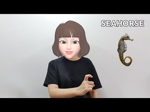 American Sign Language (ASL) Lesson: Seahorse