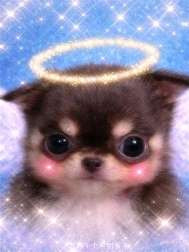 German Version of Roblox Outfits: Original Concept Unveiled