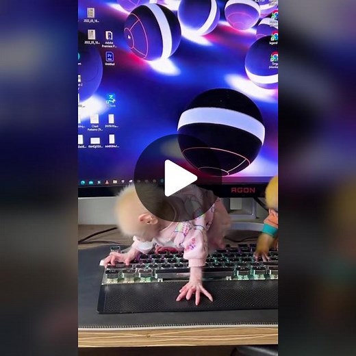 Adorable Monkeys Playing with Computer Keyboard