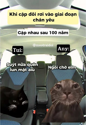 Anh hết iu em gòii 🥲 #cặpđôi #yêu #meme #catmeme #funny #mèodễthương #chóhàihước #meotraidoi #xhhhhhhhhhhhhhhhhhhhhhhh