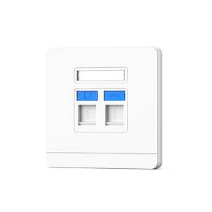 [Hot Item] Factory Supply Dual Port RJ45 Cabling Network Faceplate 86*86 Type 2 Port Wall Outlet