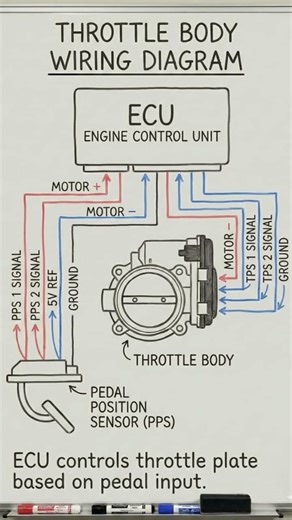 Throttle body wiring diagram #ecu#actuators #enginepart #jamesautomotiveeng