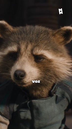 4.7K views · 304 reactions | ¿Sabías qué Bradley Cooper es la voz de Rocket Racoon en 'Guardianes de la Galaxia'? | SensaCine Latinoamérica | Facebook