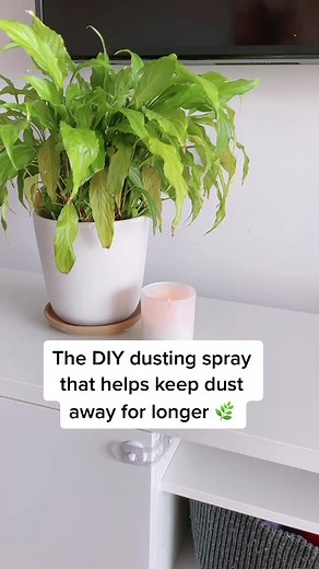 Effective DIY Furniture Dusting Spray for Long-lasting Results 🌿