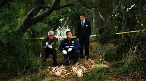 Folge 11 vom 12.03.2013 - CSI: Vegas - Staffel 12 | RTL