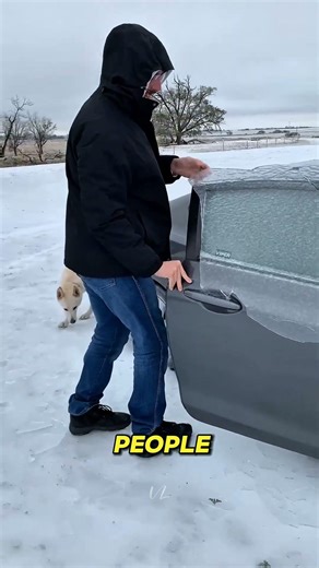 Frozen Car Door? Don’t Do THIS ❄️🚗 #winterhacks #cars #shorts
