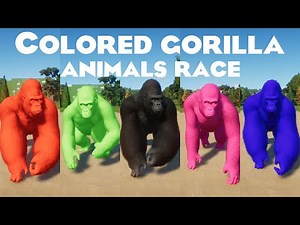Colored Gorilla Animals Races in Planet Zoo included Western Lowland Gorilla Planet Zoo Races