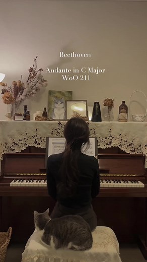 Calming Beethoven Andante in C Major WoO 211