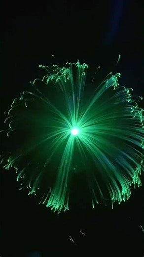 Seven-Color Jellyfish Lamp – Solar-Powered Color Changing Water Light#foryou #decorlighting