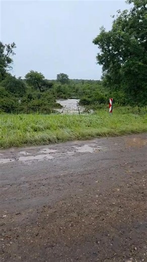 R40 between Hoedspruit and Phalaborwa Greater Kruger National Park | Kruger Magazine