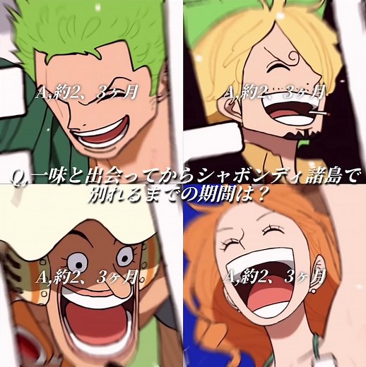 ワンピース 修行期間が最も長いキャラは誰？