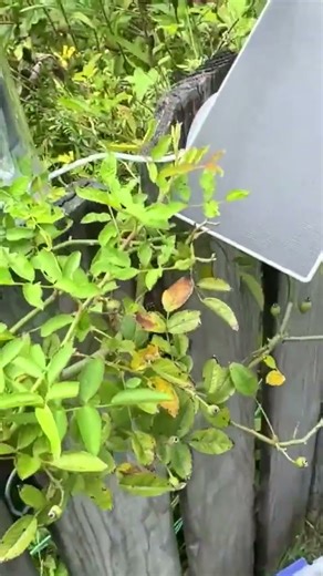 Solar Panel and Power Supply Explanation