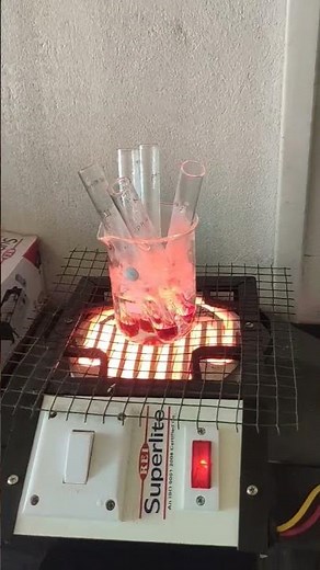 Experimental Lab Work | Liquid Chemical Heating Process | Heating Liquid in Test Tube | Science Lab