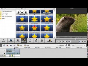 Tutoriel 2 - AVS Video Editor sous Windows 7 / 8 / 10 : Effet Video