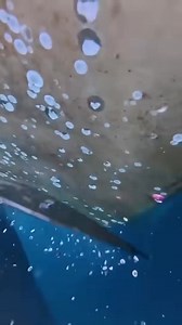 135K views · 673 reactions | Proses pembersihan baling-baling kapal #ilmupengetahuan #idekreatif #viralvideo #fyp #fyppage #fanpageku #fbpro #facebook #berbayar #monetisasi #interaksi #Reaction #reactionvideo #reactionviral #tutorial #satisfying #asmrcutting #asmrreels #asmrcutt #satisfyingvideo #asmrvideo #asmrsounds #asmr #ChanneLKITA | ChanneL KITA | Facebook