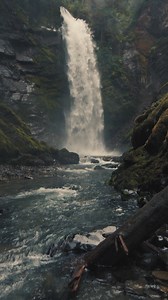 3.7K views · 95 reactions | Venture beyond the expected and experience Alaska in its purest form. Untamed landscapes, hidden harbors, and awe-inspiring moments, all with the ease of small ship luxury. Not just Alaska. It’s Alaska, your way. #OceaniaCruises #DiscoverAlaska #AlaskaCruise | Oceania Cruises | Facebook