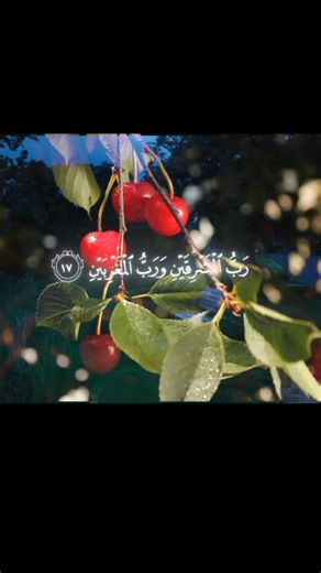 Most Beautiful Quran Recitation #quranrecitation