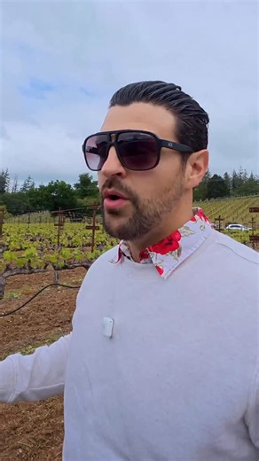 Mustafa Tolosa on Instagram: "International Cheese Curd Day 🧀✨ These cheese curds were flown in from Wisconsin by Dutcher Crossing Winery for Dry Creek Valley’s Passport Weekend. Crispy on the outside, soft and melty inside, and paired perfectly with a glass of wine overlooking the valley 🍷 At the Minnesota State Fair you’ll wait 20 minutes for these, but here they came out fresh and hot. Easily one of the best things I had that weekend. #InternationalCheeseCurdDay #DryCreekValley"