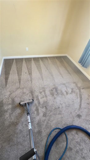 Deep Cleaning Carpet: Professional Techniques Explained