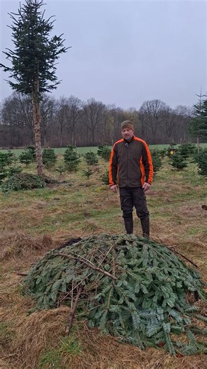 Artenschutz im Weihnachtsbaum-Anbau Eco-Farming: Helping Local Biodiversity