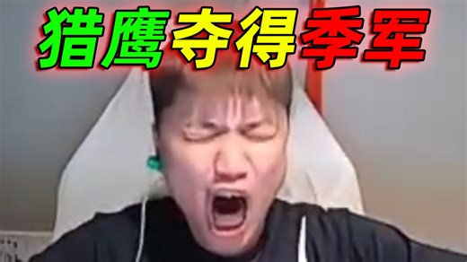 DANKING赛后聊猎鹰2:0拿下黑豹夺得季军，后续称自己已经佛系了，猎鹰能打多久打多久有的看就行了（全程录像带字幕）