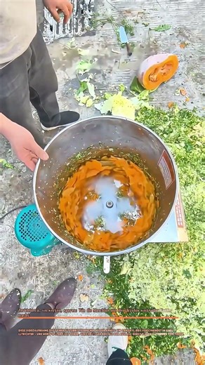 * Zerkleinern, verwerten, sparen: Wie die Maschine aus dem Kürbis wertvolles Futter macht