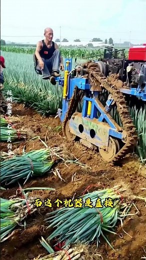 This scallion-pulling machine is such a brilliant design! #Science #Knowledge #FunFacts