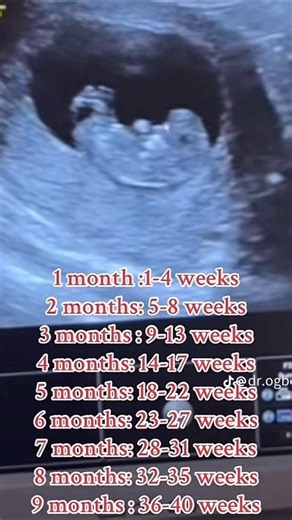 CutieBump | Pregnancy & Postpartum Support | Pregnancy : 9 months, week by week 🤰 And if tracking everything feels overwhelming… Our all-in-one pregnancy bundle with week-by-week... | Instagram