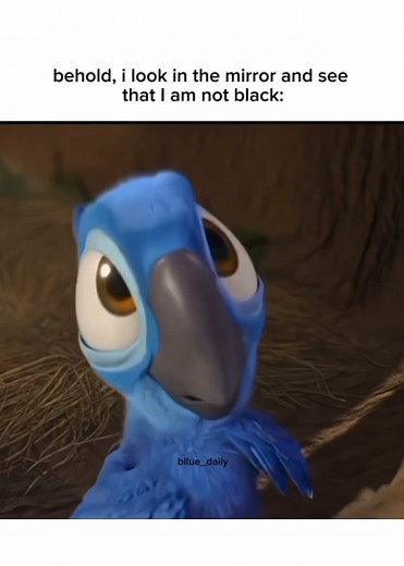 Funny Bluebird Memes: The Best of #Real